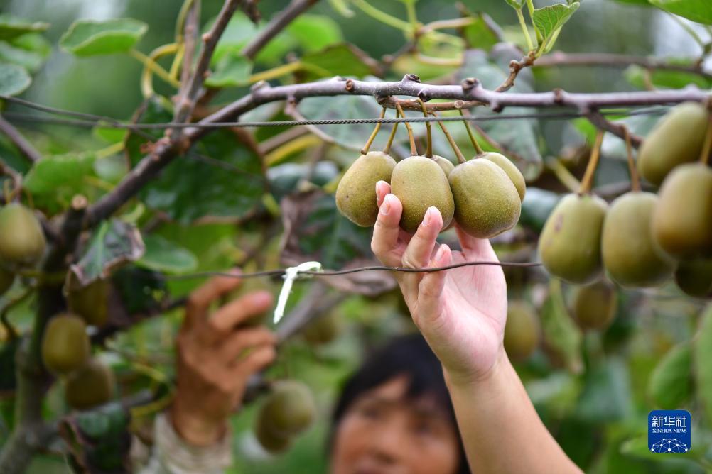 申博百家乐下载